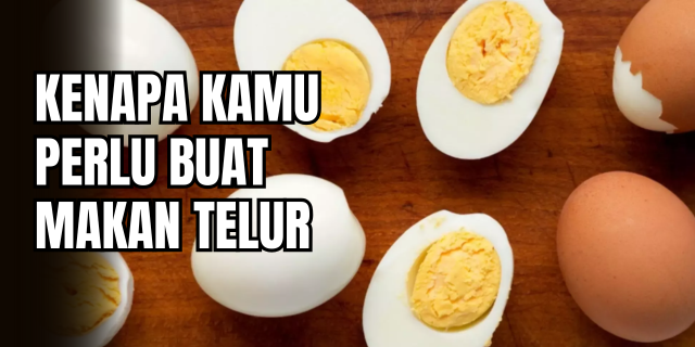 Telur Superfood yang Menyimpan Potensi Anabolik Tinggi