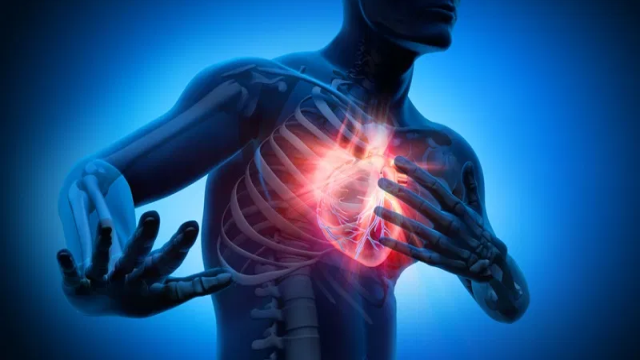 Tips Menjaga Kesehatan Jantung Dengan Mudah Dan Benar Menurut Pakar Kesehatan